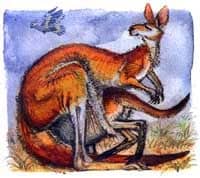 © Illustration Ursula Seeberg
