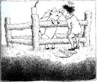 copyright: Lilian Brøgger