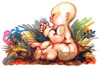 © Illustration Ursula Seeberg