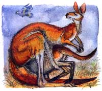 © Illustration Ursula Seeberg