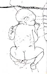 © Pernille Kløvedal Helweg